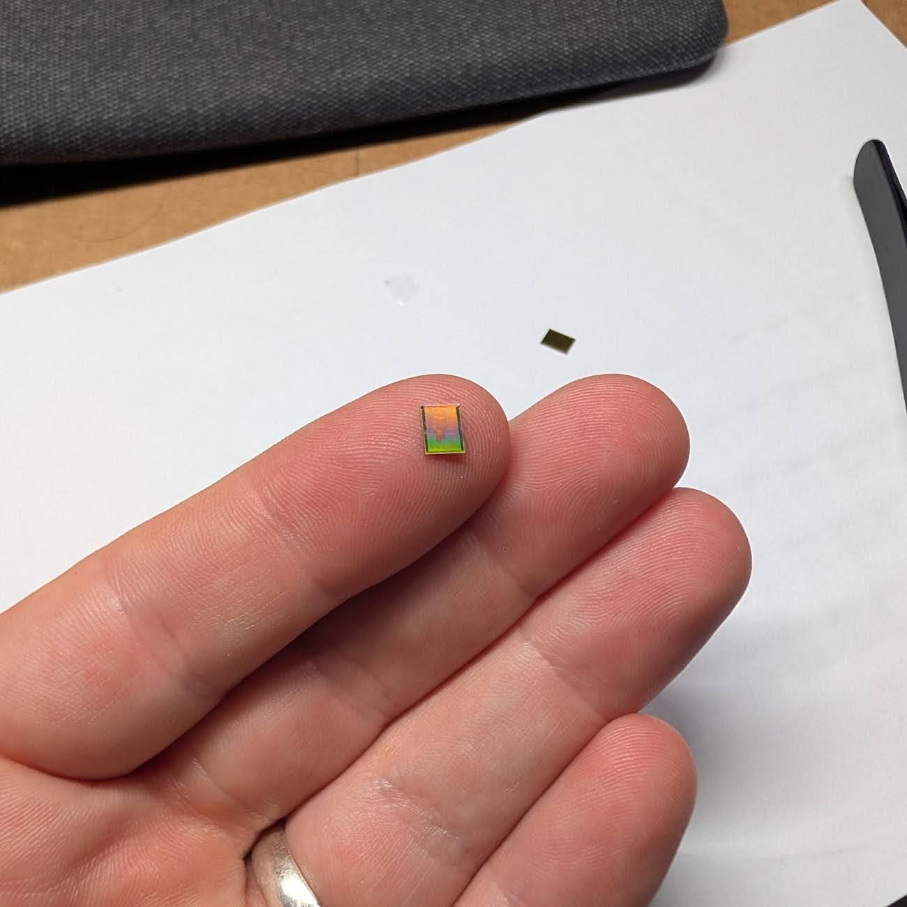 A single silicon die resting on a fingertip